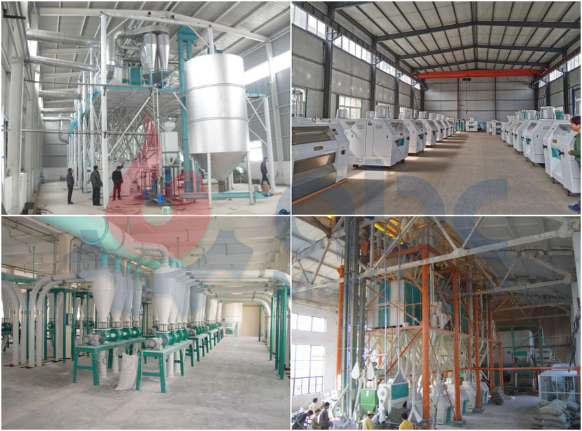 flour mill project report setup ABC Machinery