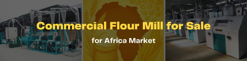 wheat maize flour mill business in africa
