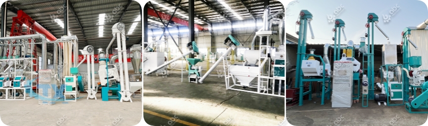 Comparison of bucket elevator, screw conveyor, and belt conveyor used in corn mills