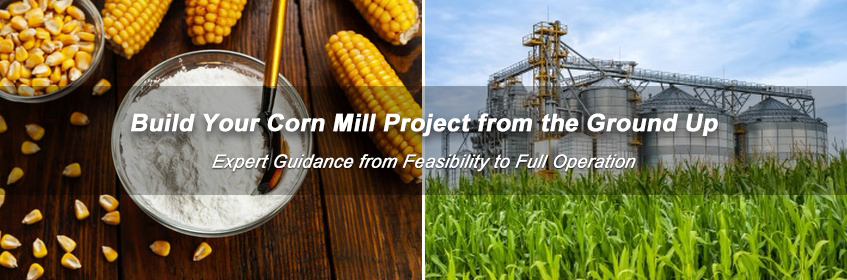 Industrial corn processing plant setup solutions and turnkey equipment supplier