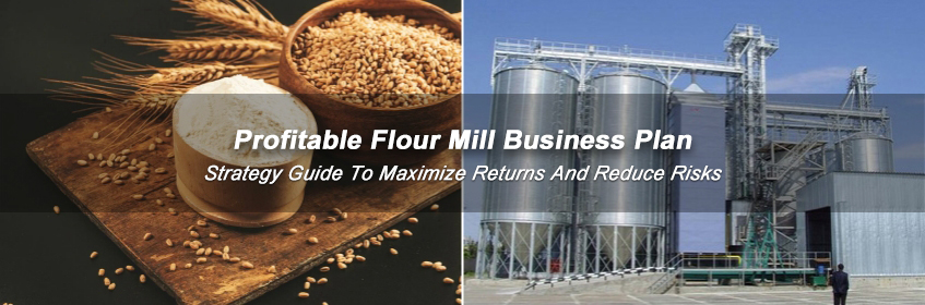 Profitable flour mill business plan Pakistan, investment strategy and setup guide
