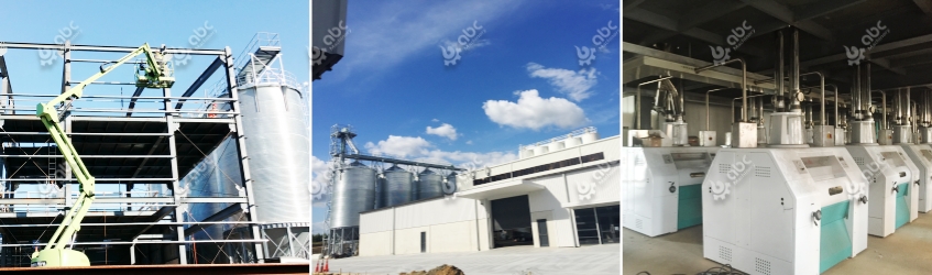 maize processing plant project report