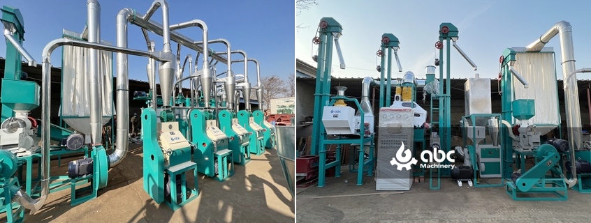 maize flour mill plant cost 