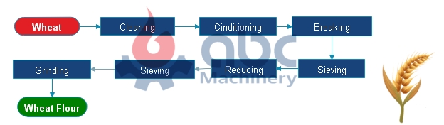 roller flour milling process steps
