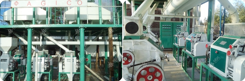 setup a low cost flour mill in pakistan