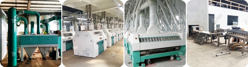 flour mill machine price in pakistan