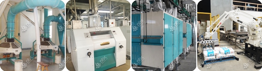 cost effective flour milling machiney hot sale